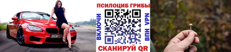 Галлюциногенные грибы мицелий  Ковылкино 